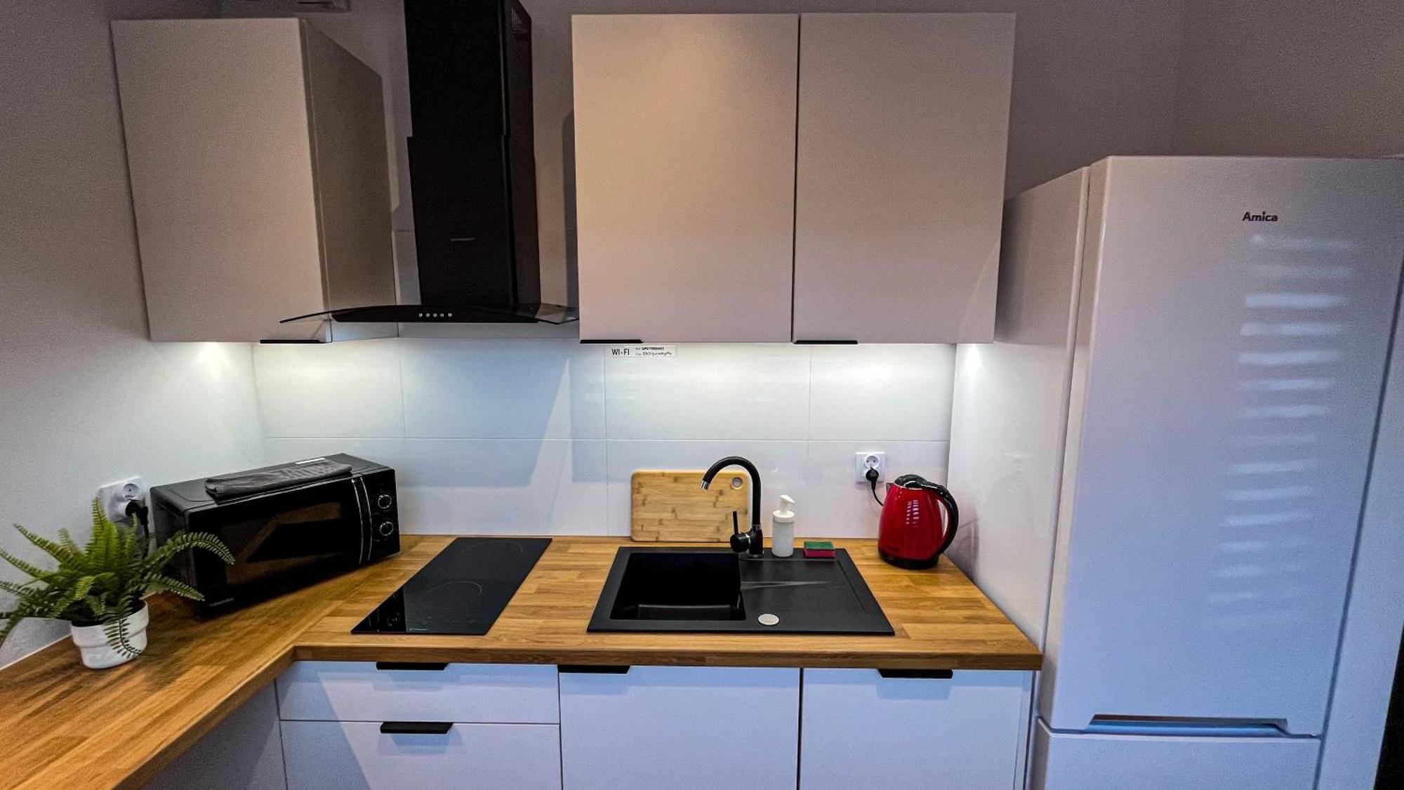 Apartament Lublin Centrum „Ice Cat” Dış mekan fotoğraf